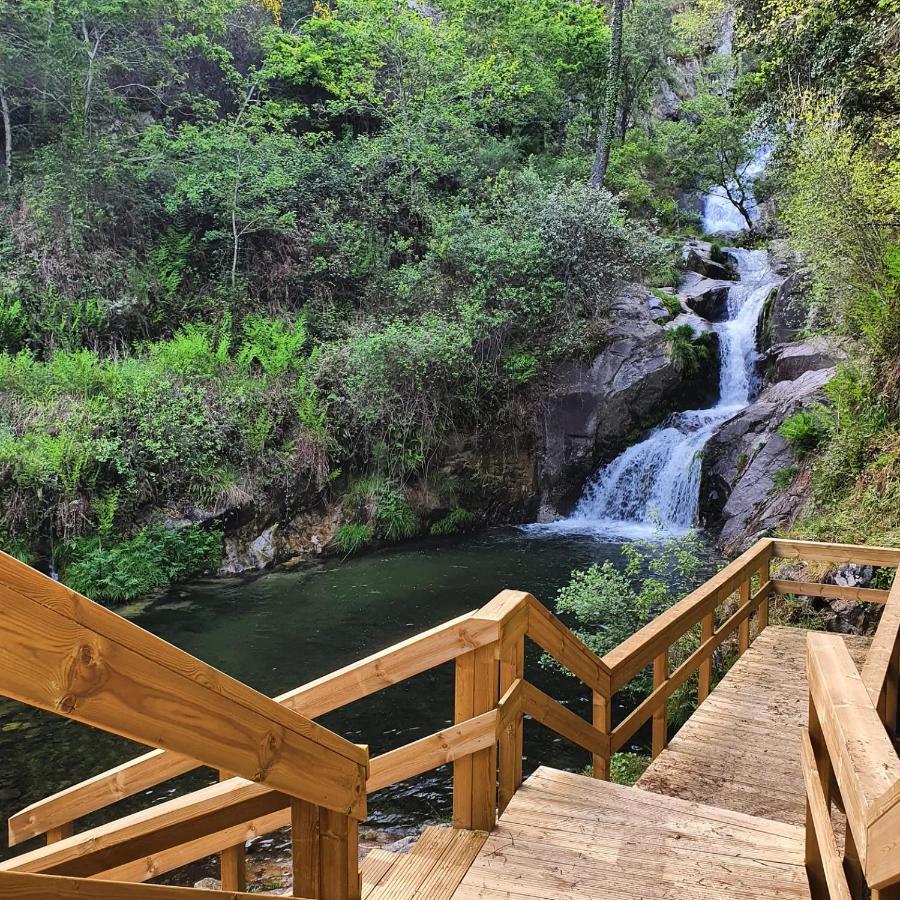 Rosinha Country House Vale de Cambra Dış mekan fotoğraf