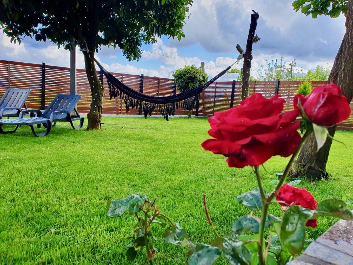 Rosinha Country House Vale de Cambra Dış mekan fotoğraf