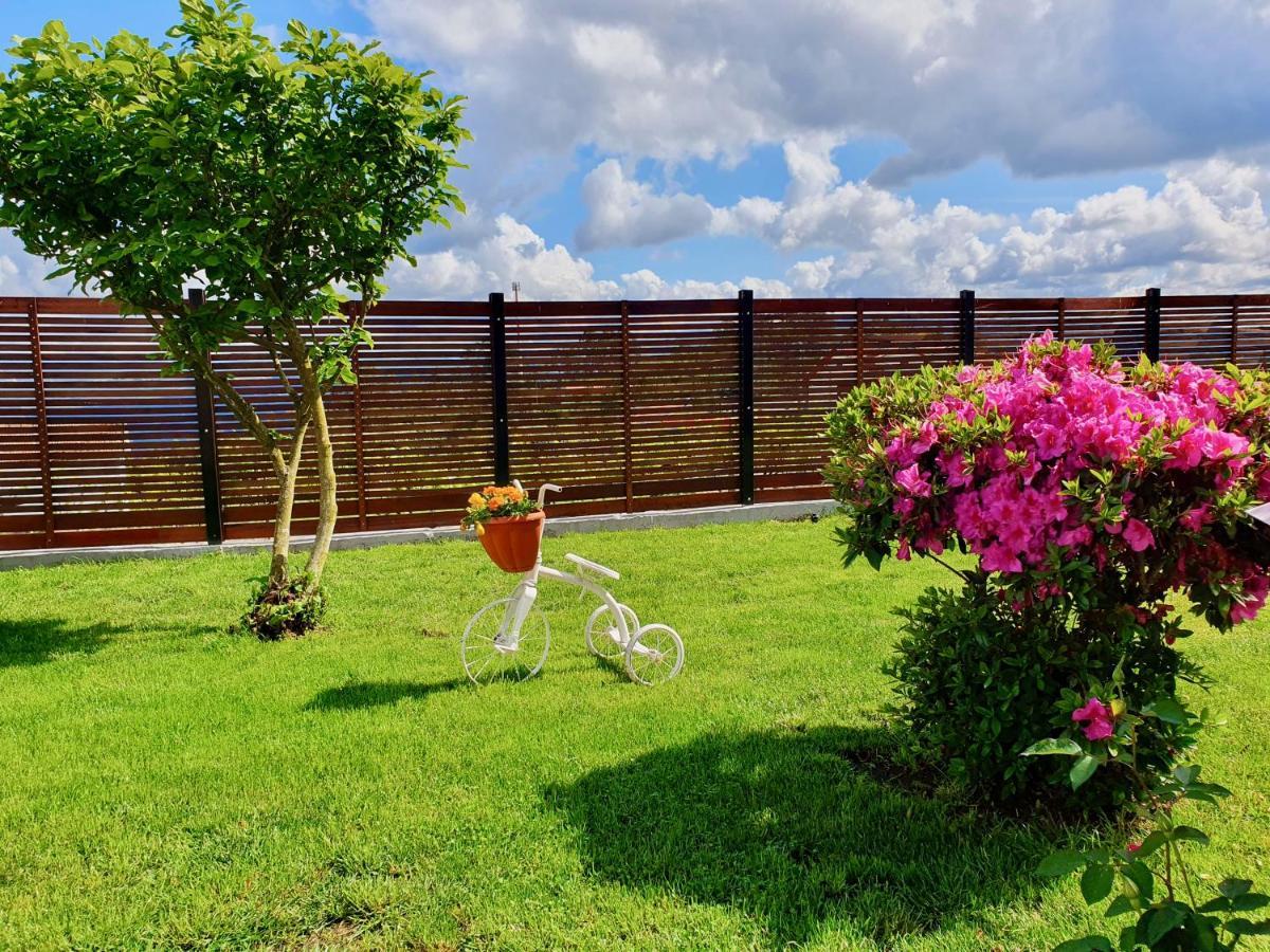Rosinha Country House Vale de Cambra Dış mekan fotoğraf
